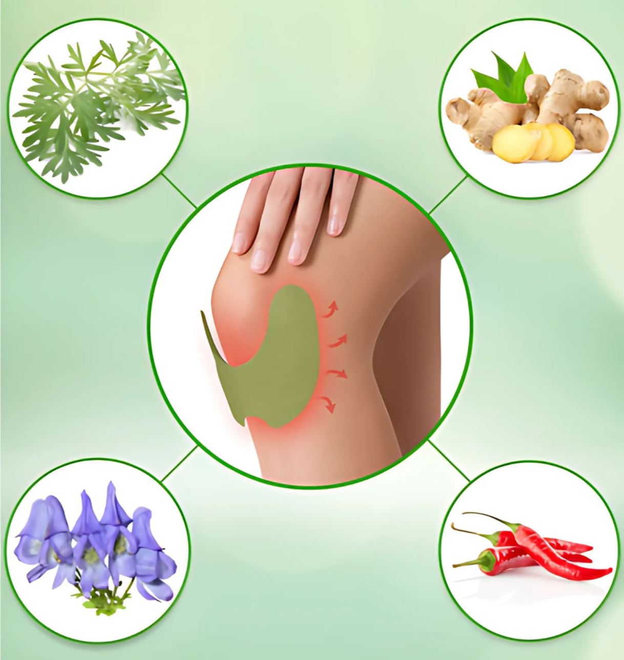 MyoQuell Herbal Knee Patches